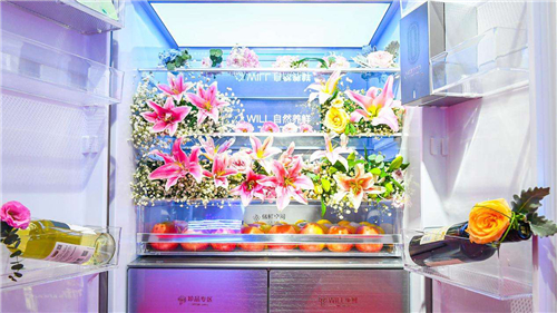 容聲冰箱即將發(fā)布新品_“冷凍室除菌”“生熟分儲”或成關(guān)鍵詞