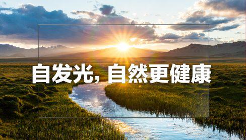 圖片6.jpg