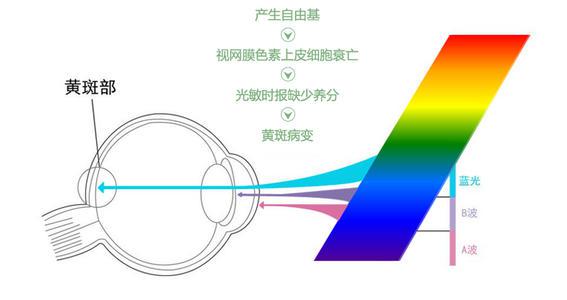 圖片2.jpg