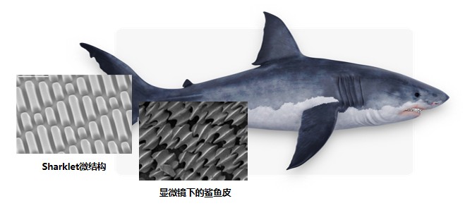 飛書20220107-170558.png