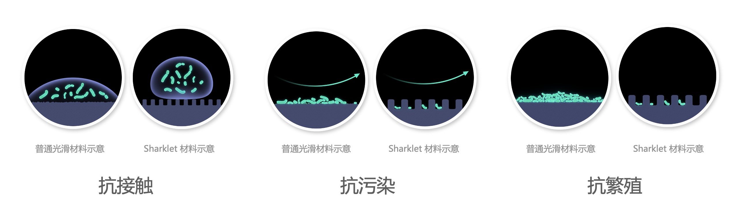 飛書20220110-111700.png